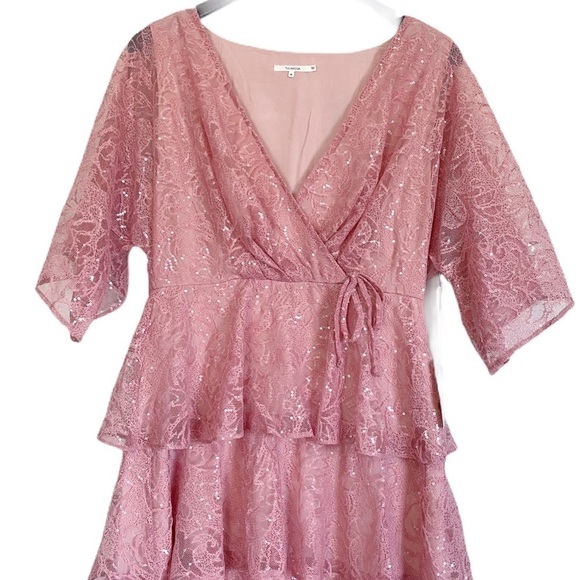 NWT TULAROSA Autumn Dress Lace Sequin Dusty Rose M - Picture 5 of 12